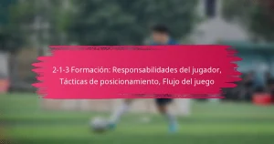 2-1-3 Formación: Responsabilidades del jugador, Tácticas de posicionamiento, Flujo del juego